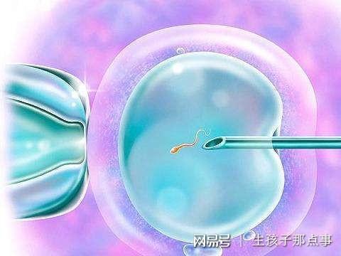 宫内宫外没孕囊